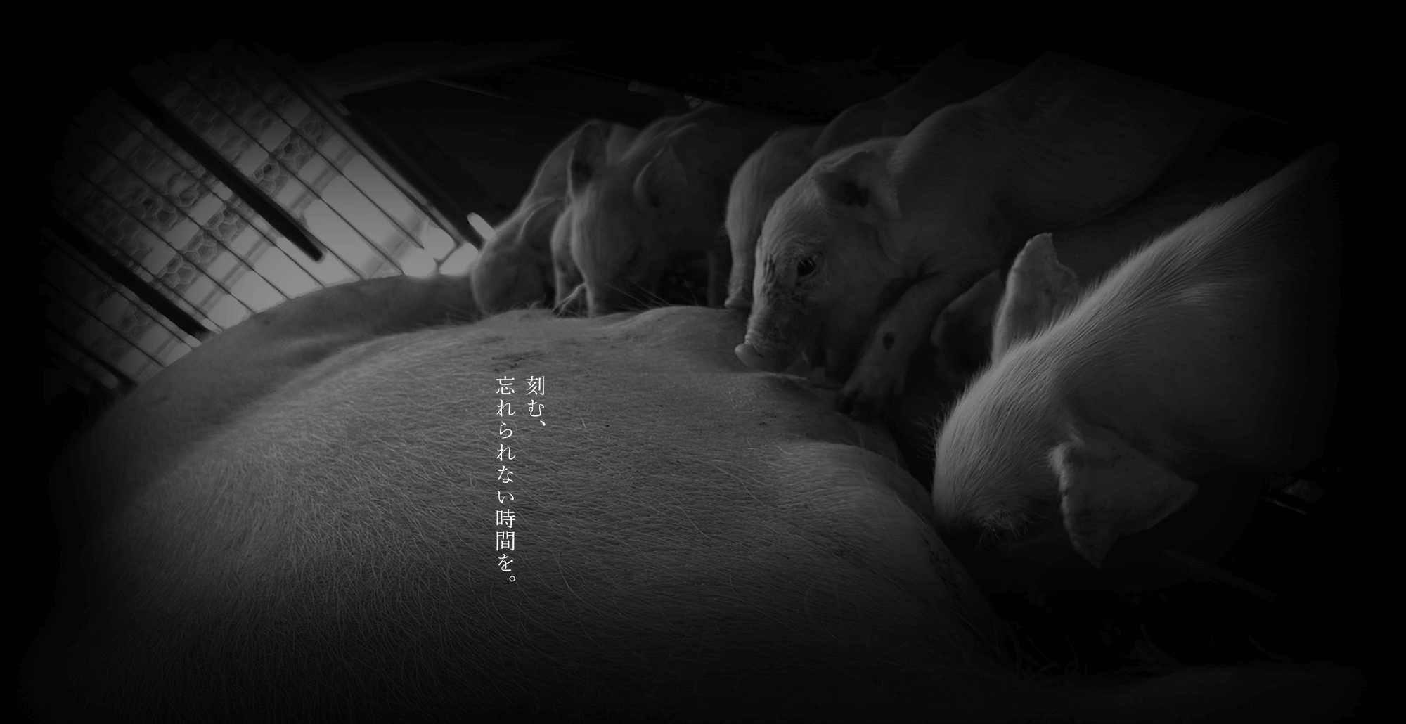 サボるのは悪じゃない。でも、成長止めるのは罪だ